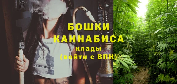 молекула духа Дмитриев