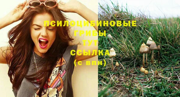 MDMA Дмитровск