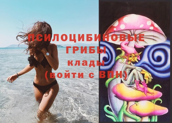 MDMA Дмитровск