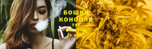 молекула духа Дмитриев